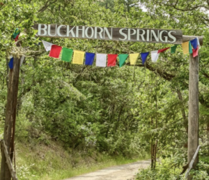 dirt road through arching forest trees with a wooden sign over the road saying "Buckhorn Springs"
