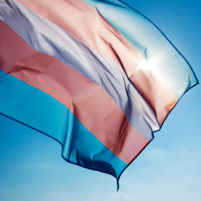Transgender Pride Flag waves with sun behind